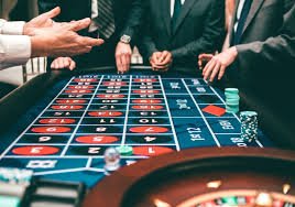 umi55 Live Baccarat Royal
